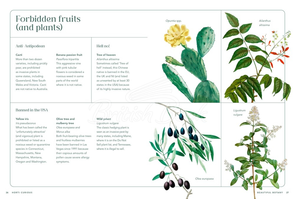 Книга RHS Horti Curious: A Gardener's Miscellany of Fascinating Facts & Remarkable Plants зображення 6