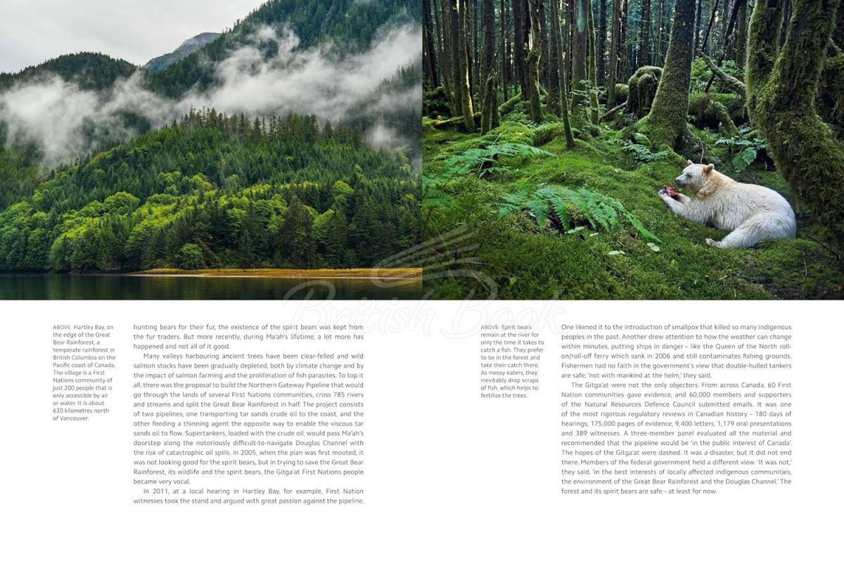 Книга Planet Earth III - купить за 1 277,00 грн, ISBN 9781785948275 ...