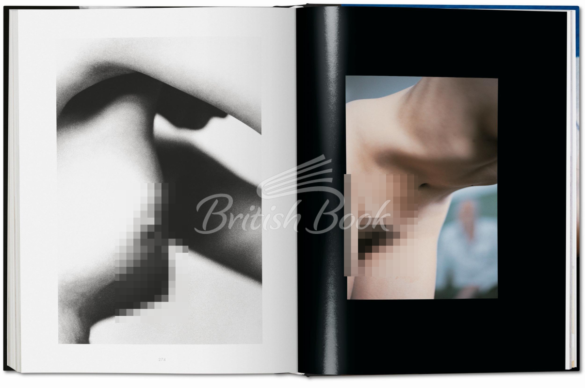 Книга Ralph Gibson. Nude зображення 4