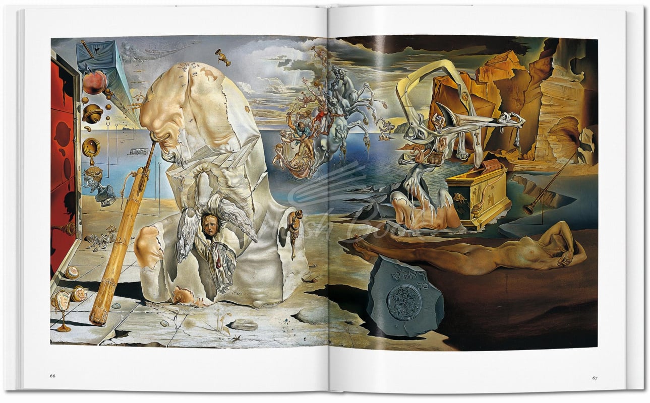 Книга Dalí зображення 5