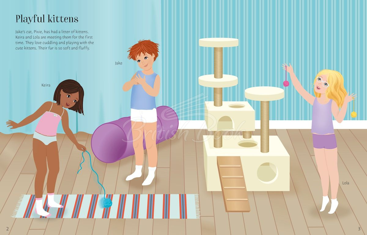 Книга Sticker Dolly Dressing: Pets зображення 2