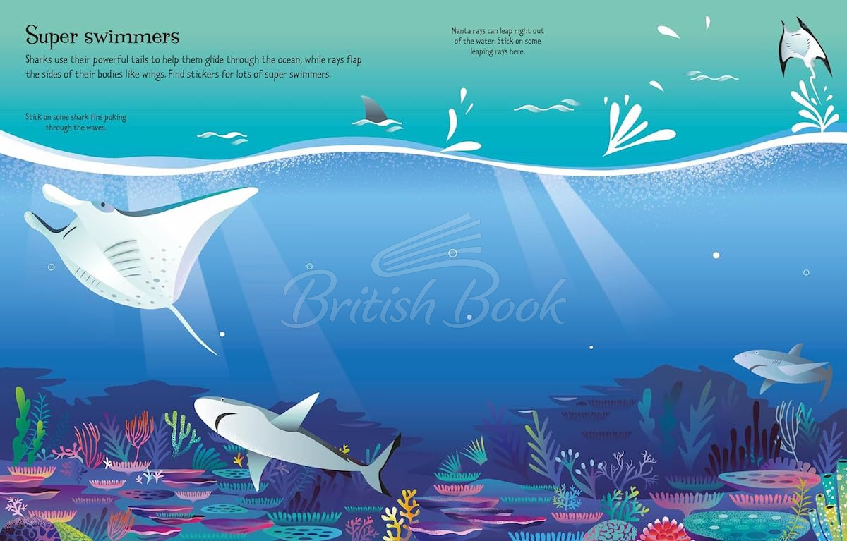 Книга First Sticker Book: Sharks and Rays изображение 5