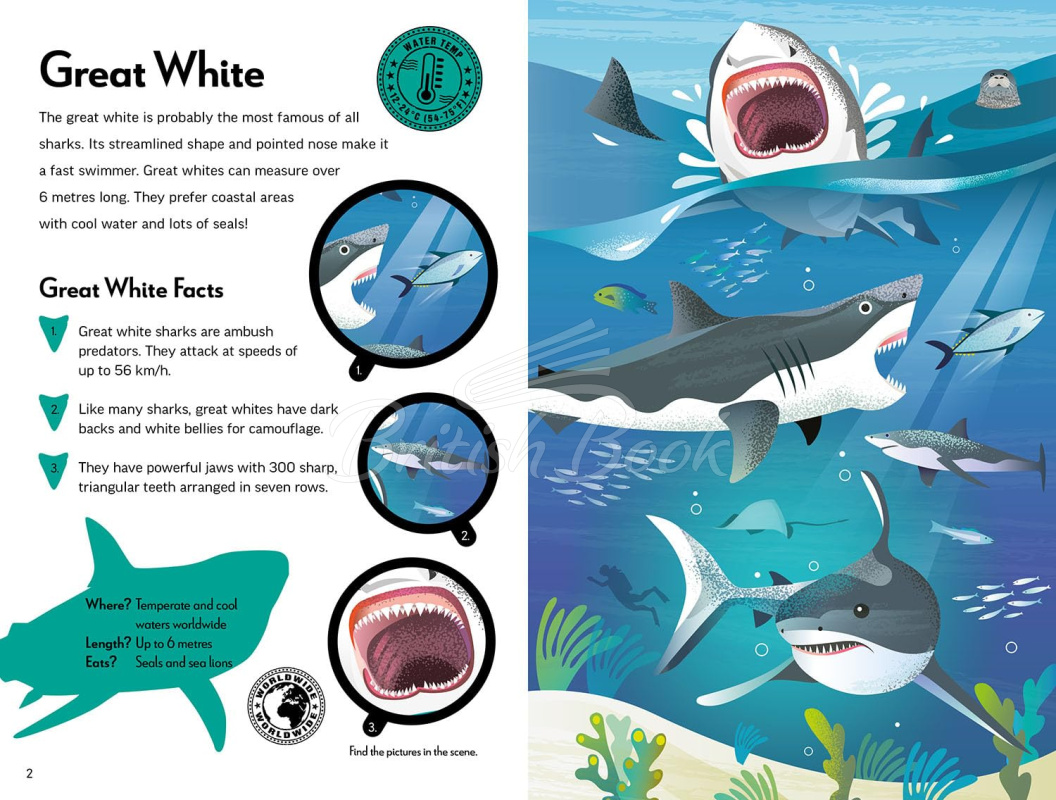 Книга Fantastic Fearsome Sharks изображение 1