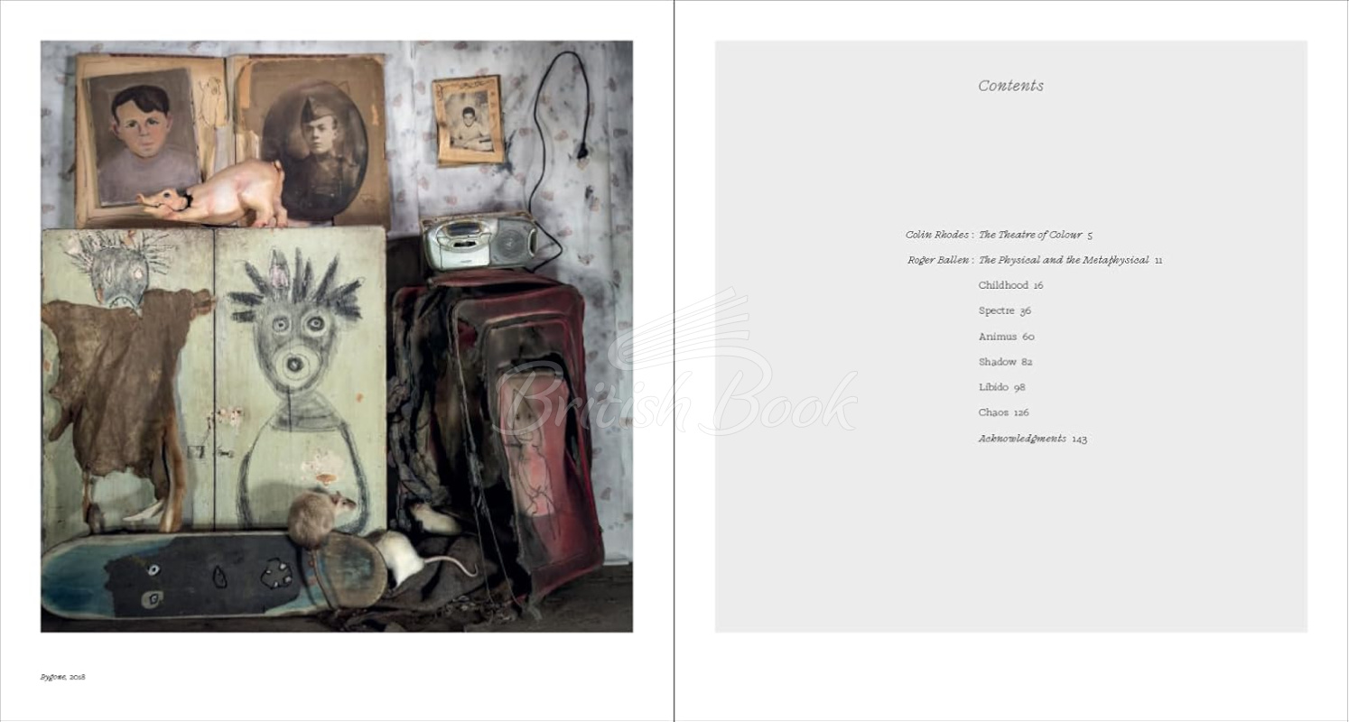 Книга Roger Ballen: Spirits and Spaces изображение 1