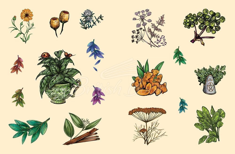 Стікербук The Green Witch's Sticker Book зображення 5