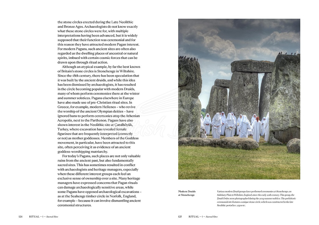 Книга Pagans: The Visual Culture of Pagan Myths, Legends and Rituals изображение 9