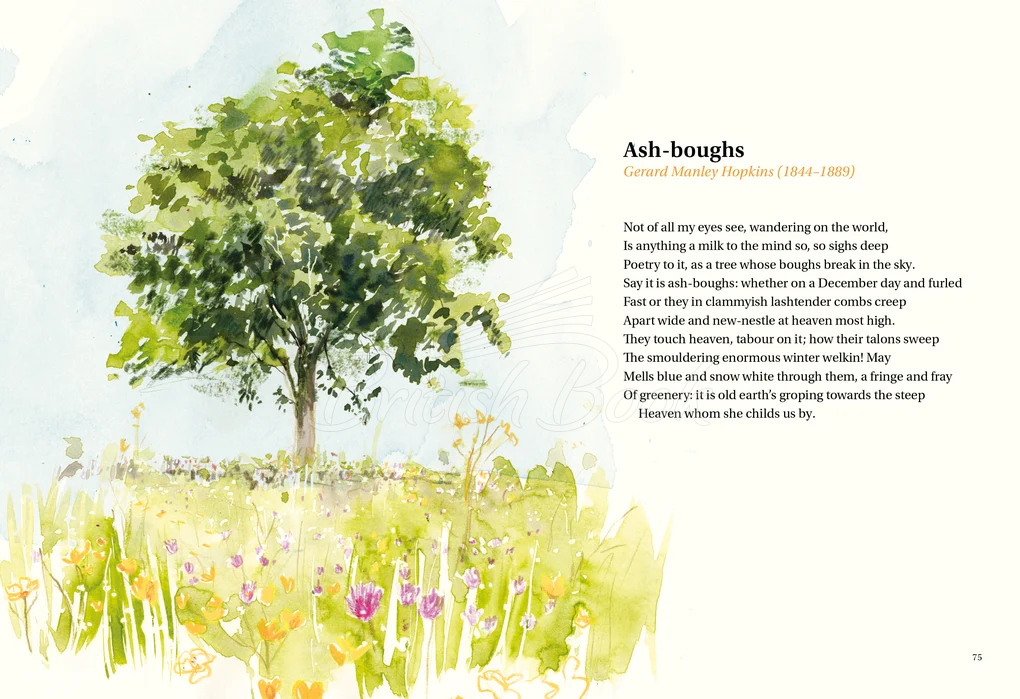 Книга The Book of Tree Poems изображение 2