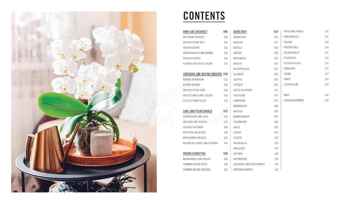 Книга Orchids зображення 2