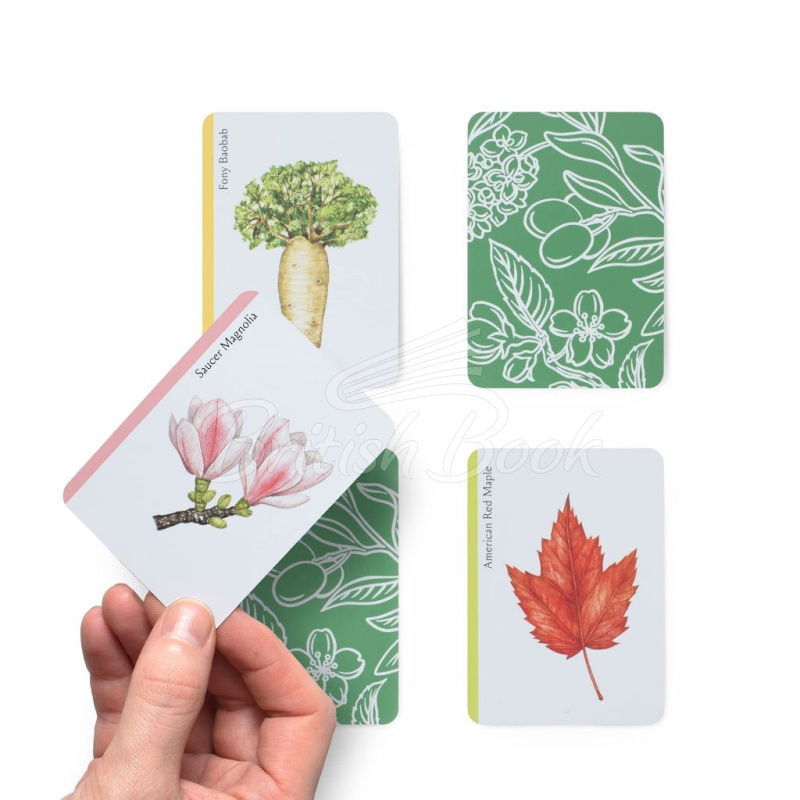 Карточная игра Tree Families: A Botanical Card Game изображение 6