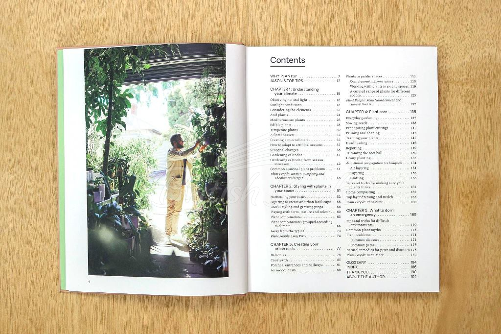 Книга Green: Plants for Small Spaces, Indoors and Out зображення 7