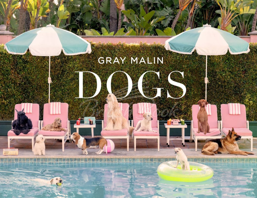Книга Gray Malin: Dogs изображение