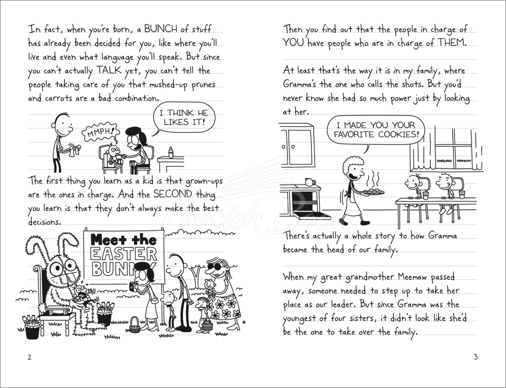 Книга Diary of a Wimpy Kid: Hot Mess (Book 19) изображение 1