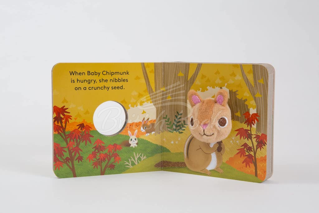 Книга Baby Chipmunk Finger Puppet Book зображення 3