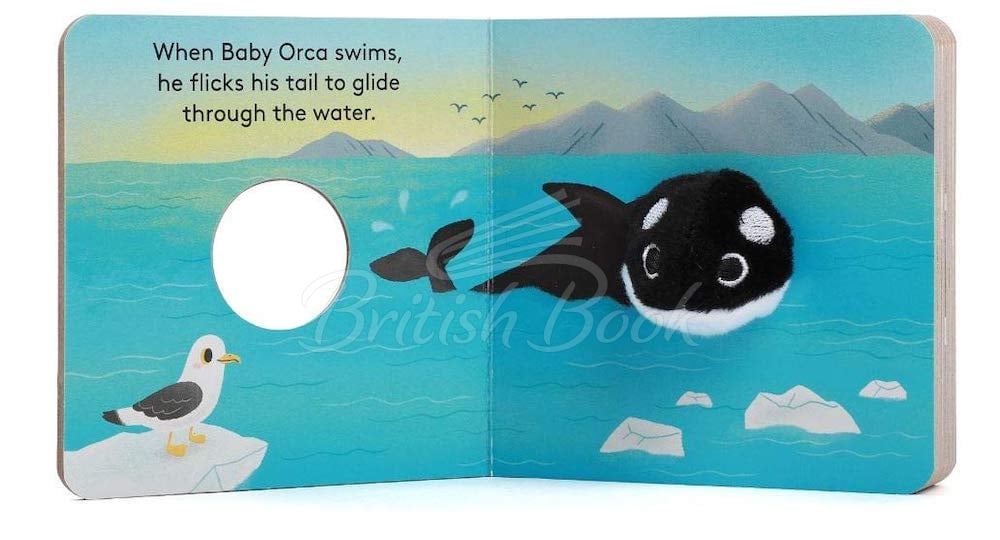 Книга Baby Orca Finger Puppet Book зображення 2