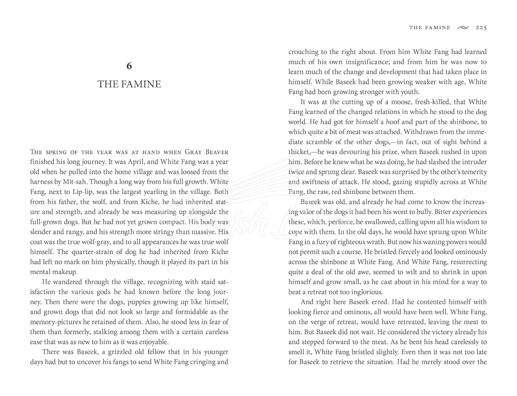 Книга The Call of the Wild and White Fang зображення 6