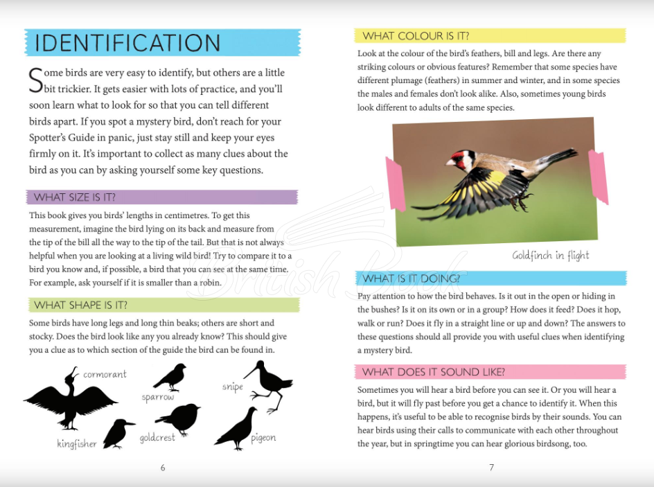 Книга National Trust: Out and About: Bird Spotter изображение 3