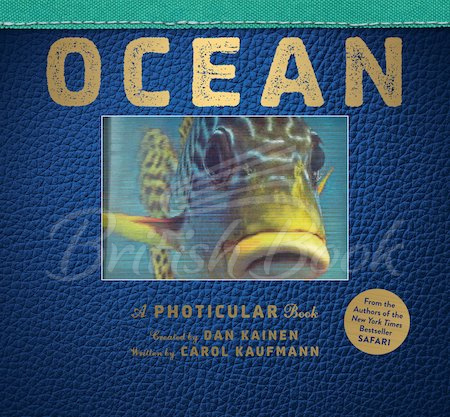 Книга Ocean: A Photicular Book зображення