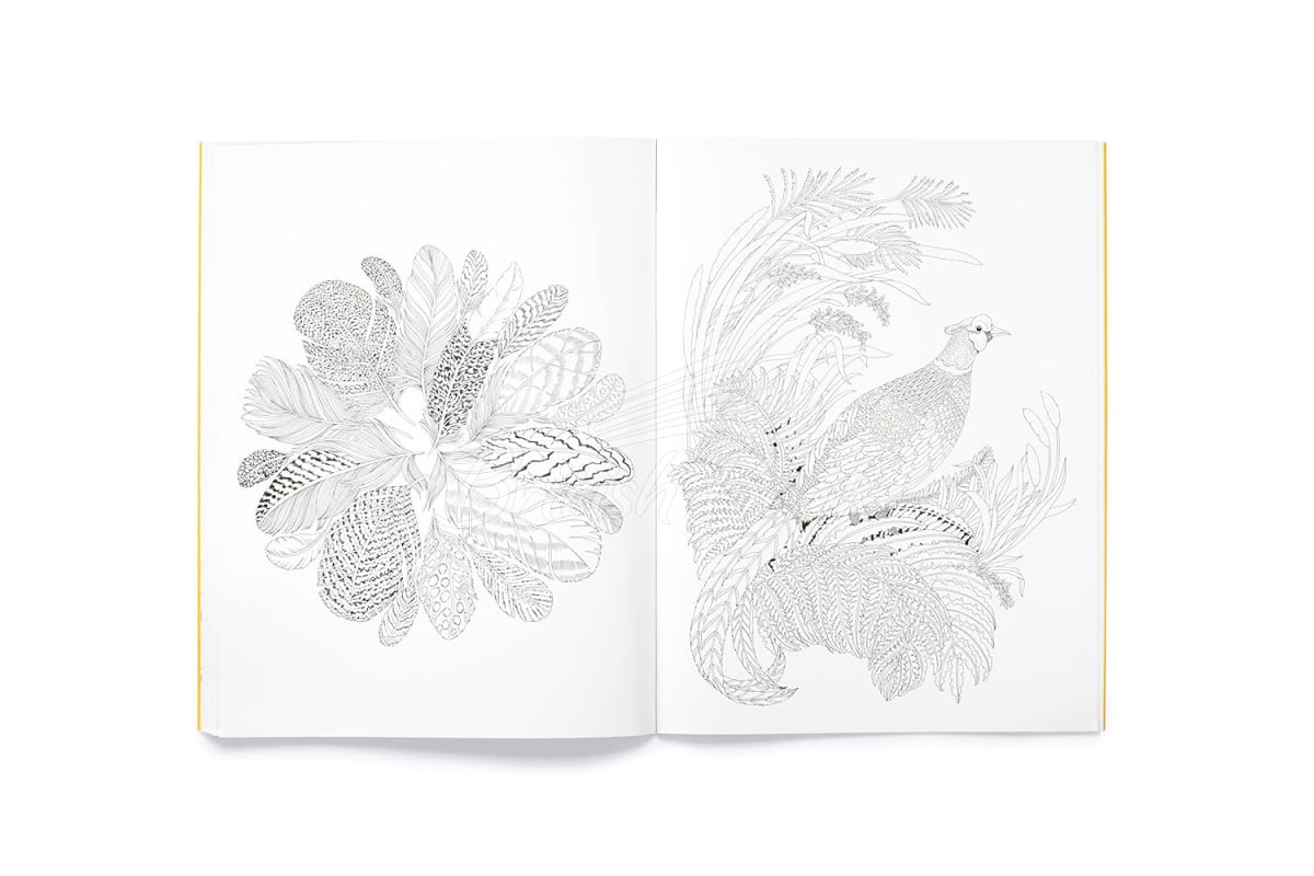 Книга An Intricate Colouring Book: Leila Duly's Beautiful Planet изображение 3