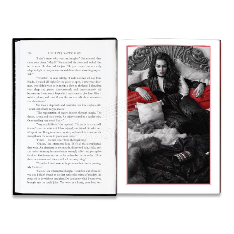 Книга The Last Wish (Book 1) (Illustrated Edition) зображення 2