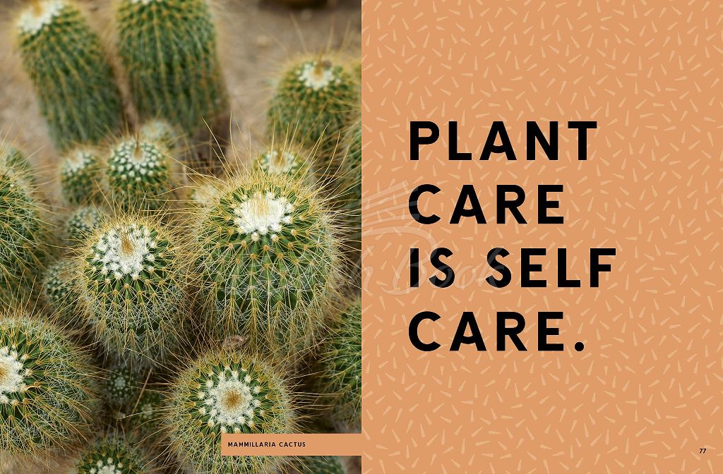 Книга Hi Cacti: Growing Houseplants and Happiness зображення 3
