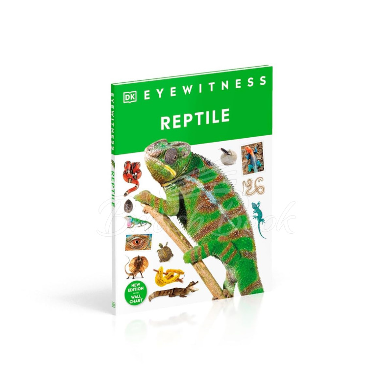 Книга Reptile зображення 1