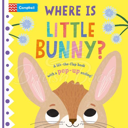 Книга Where is Little Bunny? зображення