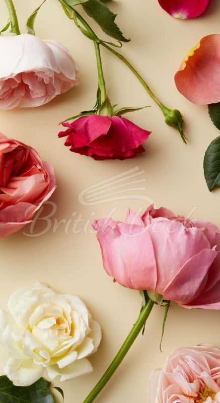 Карточки Botanicals Deck: 70 Plants and Flowers to Enhance Your Life изображение 6