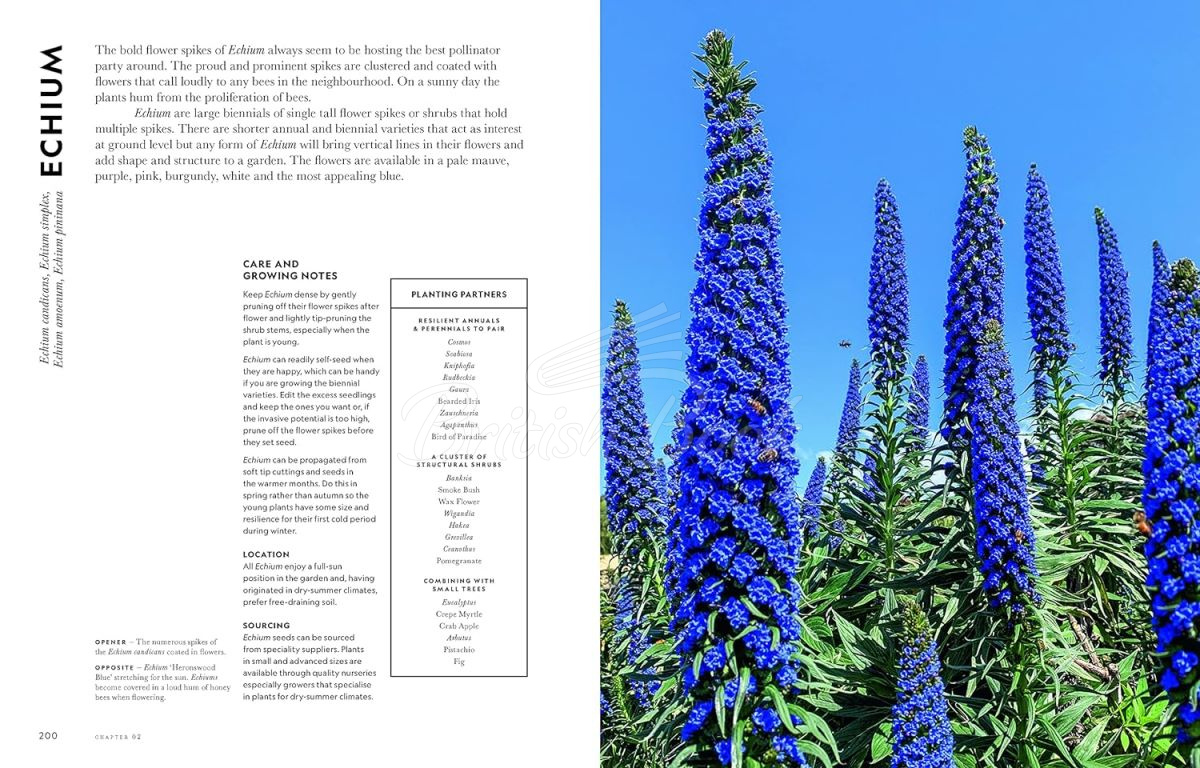Книга Super Bloom: A Field Guide to Flowers for Every Gardener зображення 6