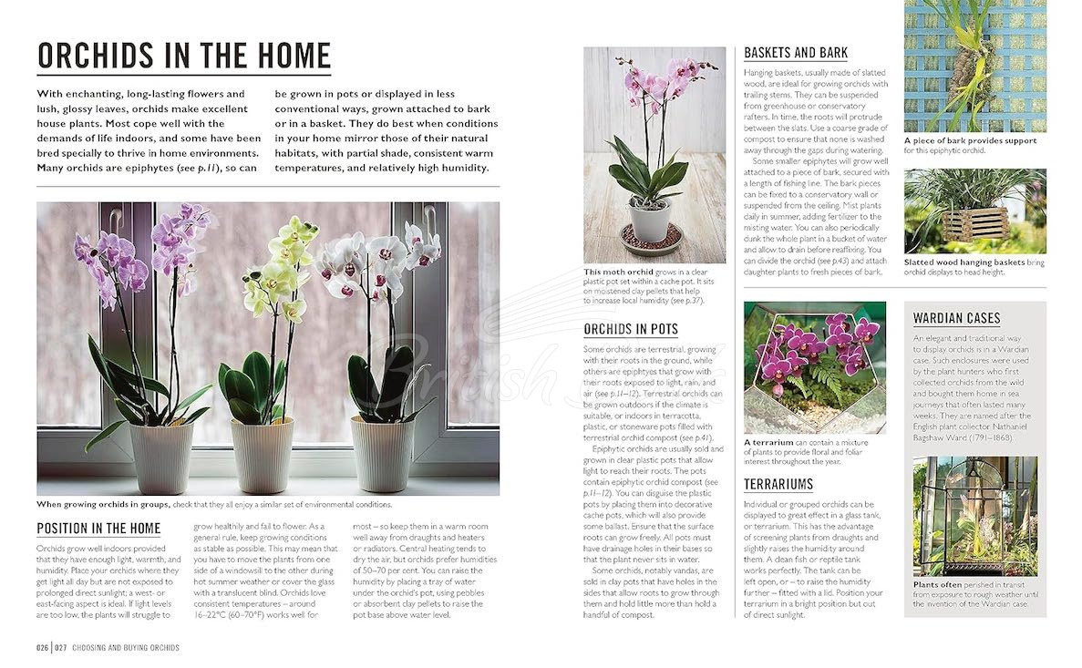 Книга Orchids зображення 4