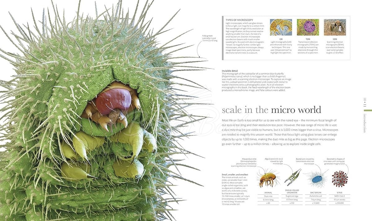 Книга Micro Life изображение 2