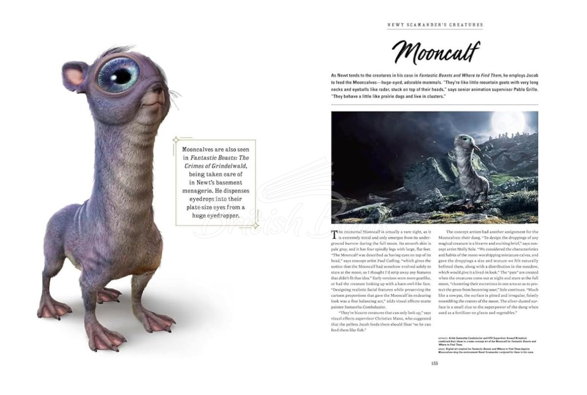 Книга Harry Potter: The Creatures of the Wizarding World зображення 9