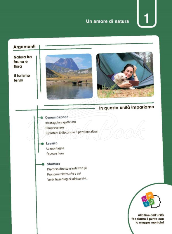 Підручник in alto! B1 con CD audio e Videogrammatica зображення 13