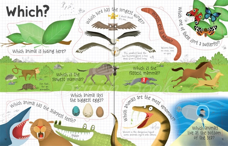 Книга Lift-the-Flap Questions and Answers about Animals изображение 1