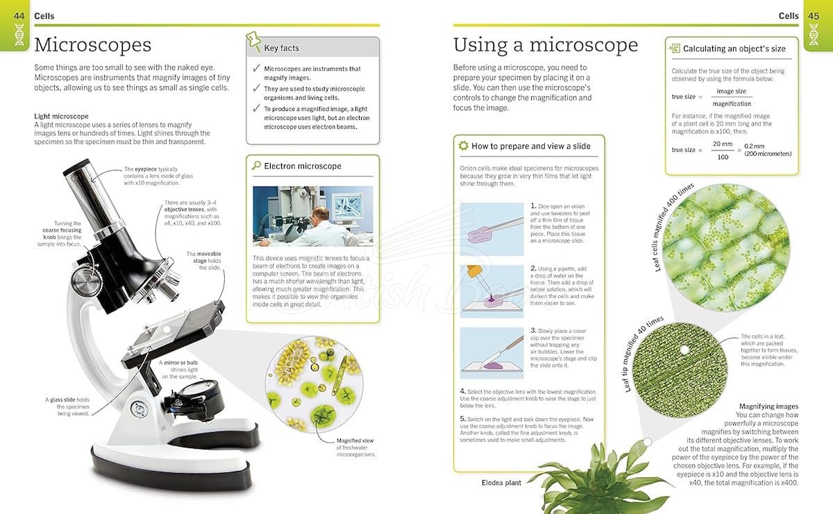 Книга Super Simple Biology изображение 4