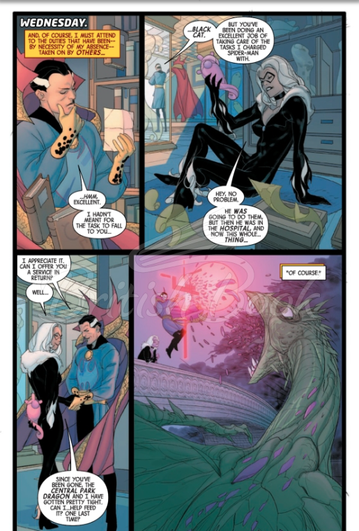 Книга Doctor Strange Volume 1: The Life of Doctor Strange зображення 7