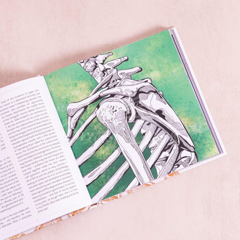 Книга Anatomical Oddities зображення 3
