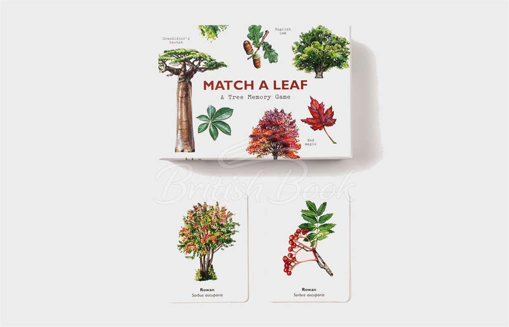 Карткова гра Match a Leaf: A Memory Game зображення 1