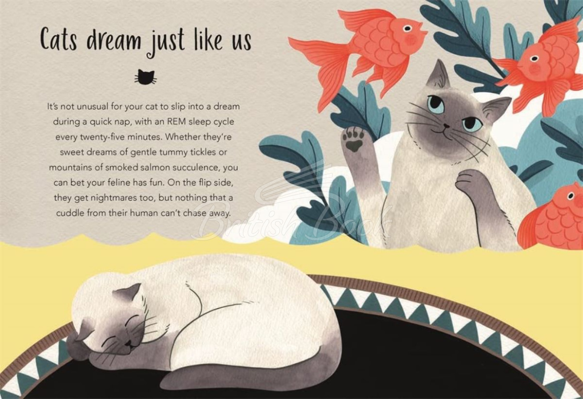 Книга 59 Things You Should Know About Your Cat зображення 2