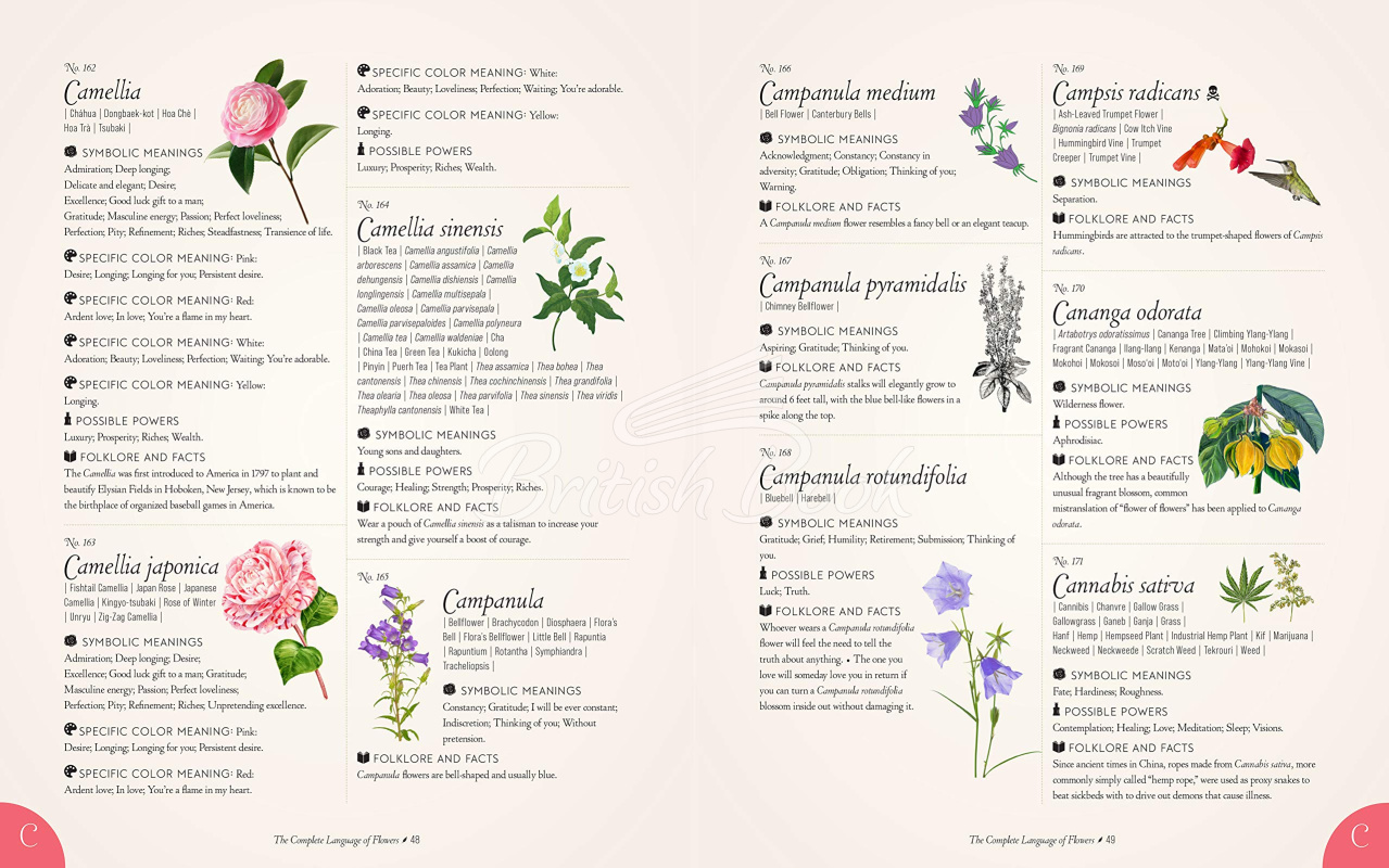 Книга The Complete Language of Flowers зображення 5