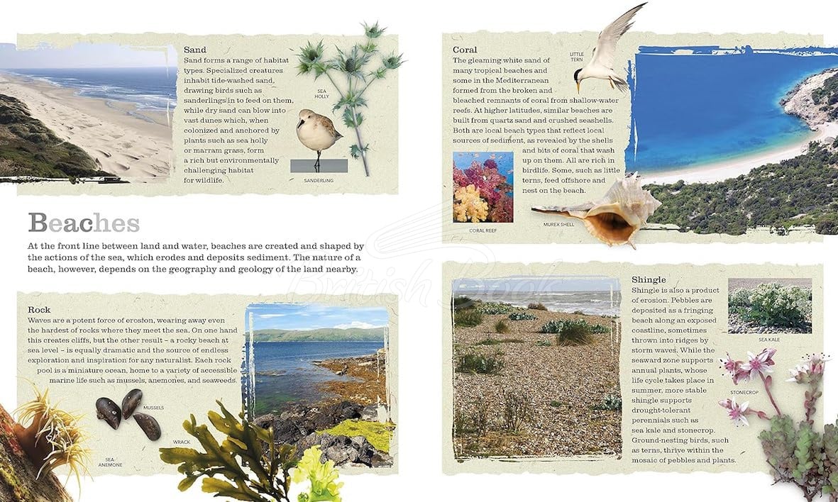 Книга Chris Packham's Nature Handbook изображение 7