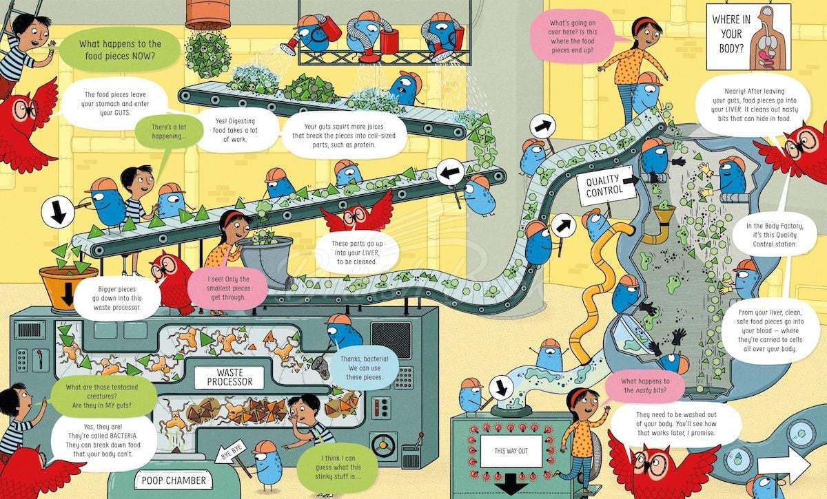 Книга Usborne Book of the Body and How it Works зображення 3
