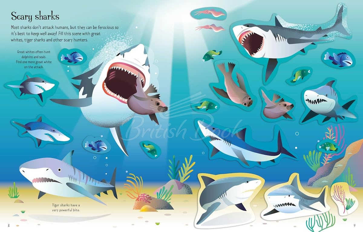 Книга First Sticker Book: Sharks and Rays изображение 4