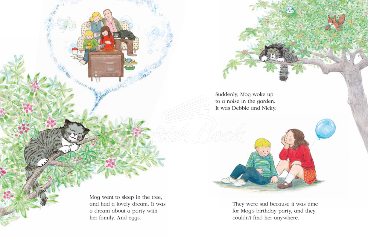 Книга Mog's Birthday изображение 3