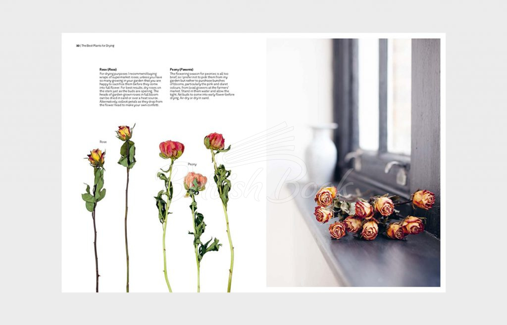 Книга Cut and Dry: The Modern Guide to Dried Flowers from Growing to Styling зображення 5