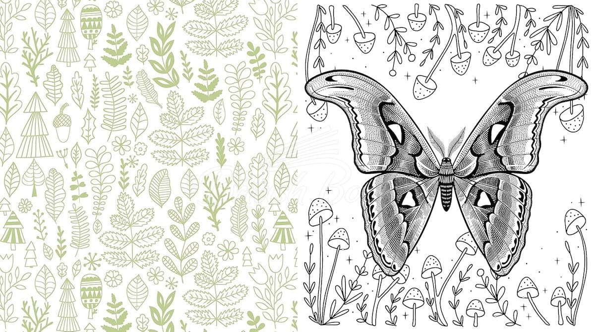 Книга Forestcore Coloring Book зображення 3