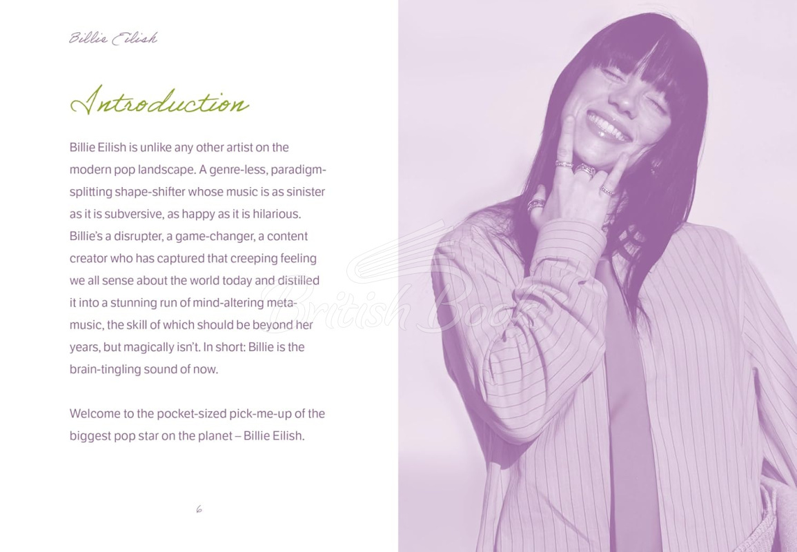 Книга The Pocket Billie Eilish зображення 1
