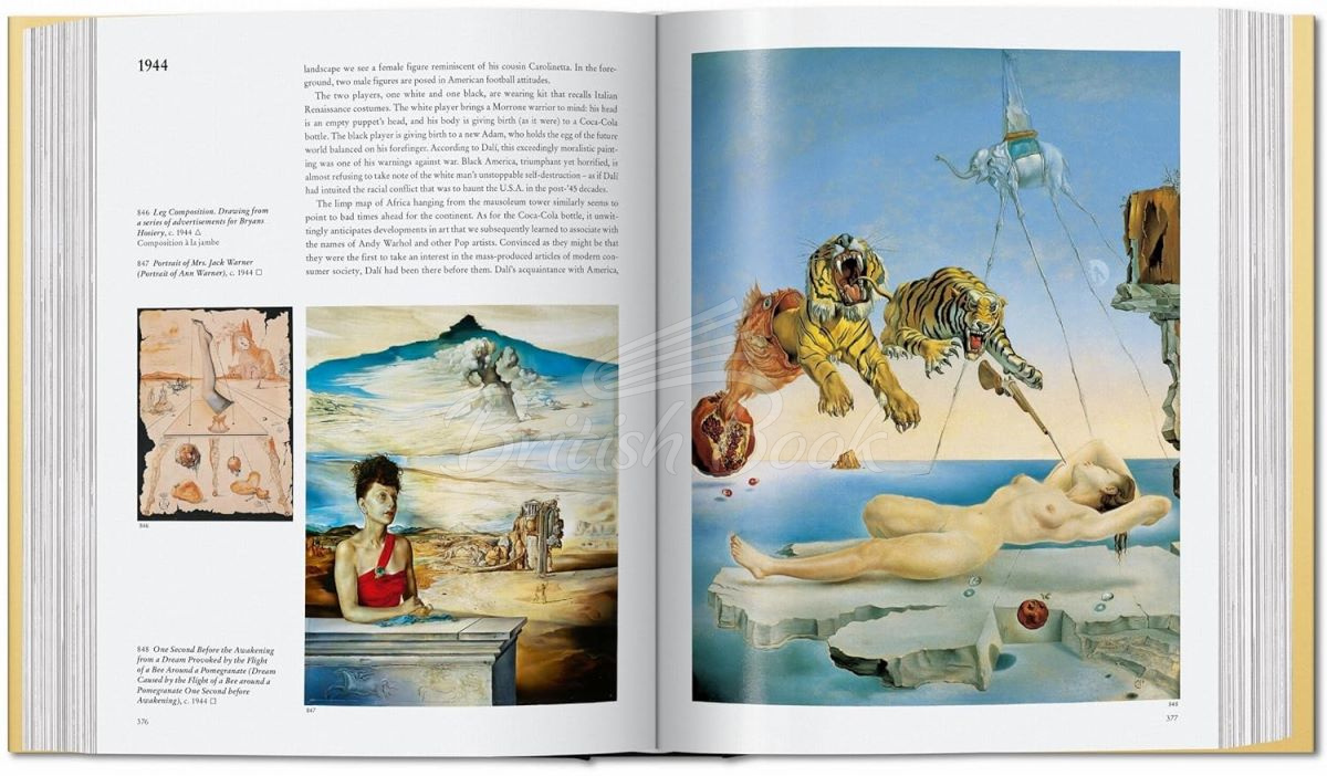 Книга Dalí. The Paintings зображення 4