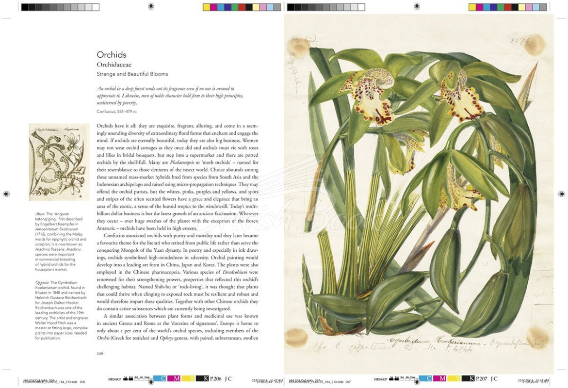 Книга Remarkable Plants зображення 11