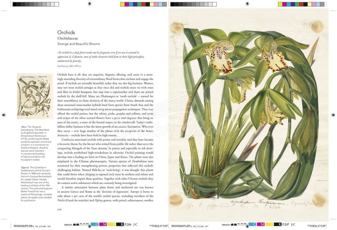 Книга Remarkable Plants изображение 11