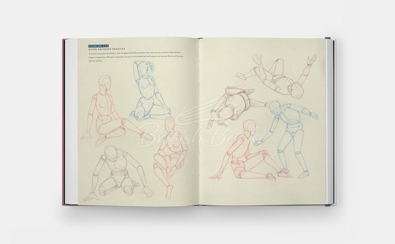 Книга Drawing the Body: Reading the Human Form in Art зображення 3